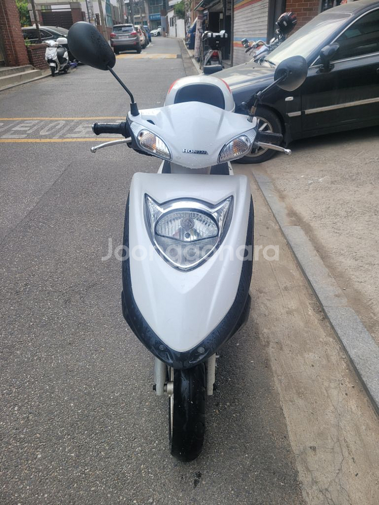 디오125--2