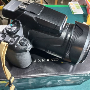 Nikon P1000 초망원 3000mm