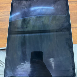 아이패드 12.9 3세대 256GB 실버 셀룰러