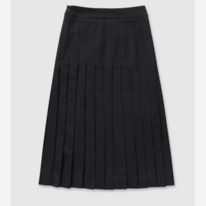 얼바닉30 knife pleated skirt