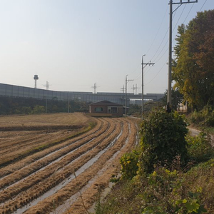 화성시청역 주변토지