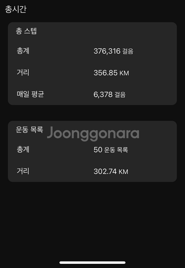 가민 포러너 265s--1