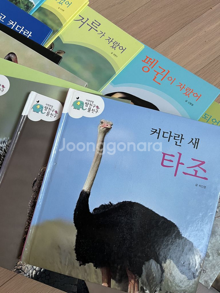 웅진 자연관찰--1