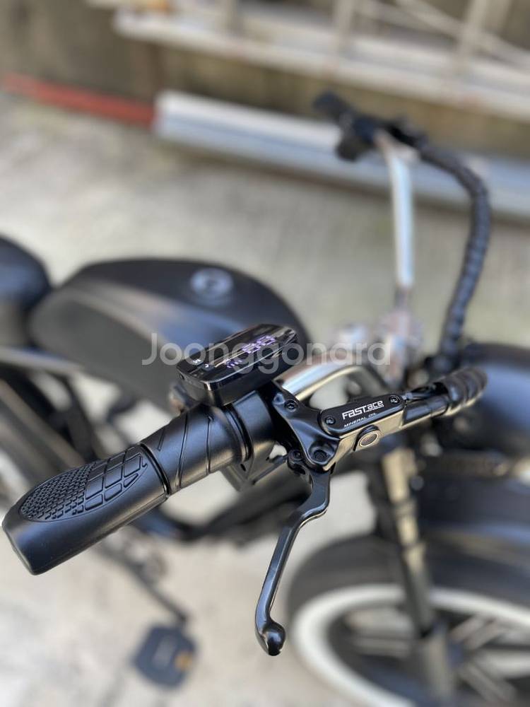 엑스라이더 x200s 48v 20ah 1000w--2