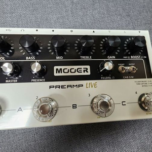 무어 프리앰프 라이브 mooer preamp live