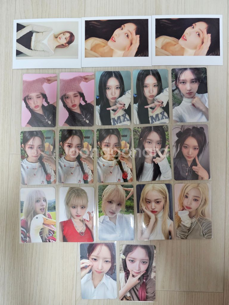 아이브 포카--0
