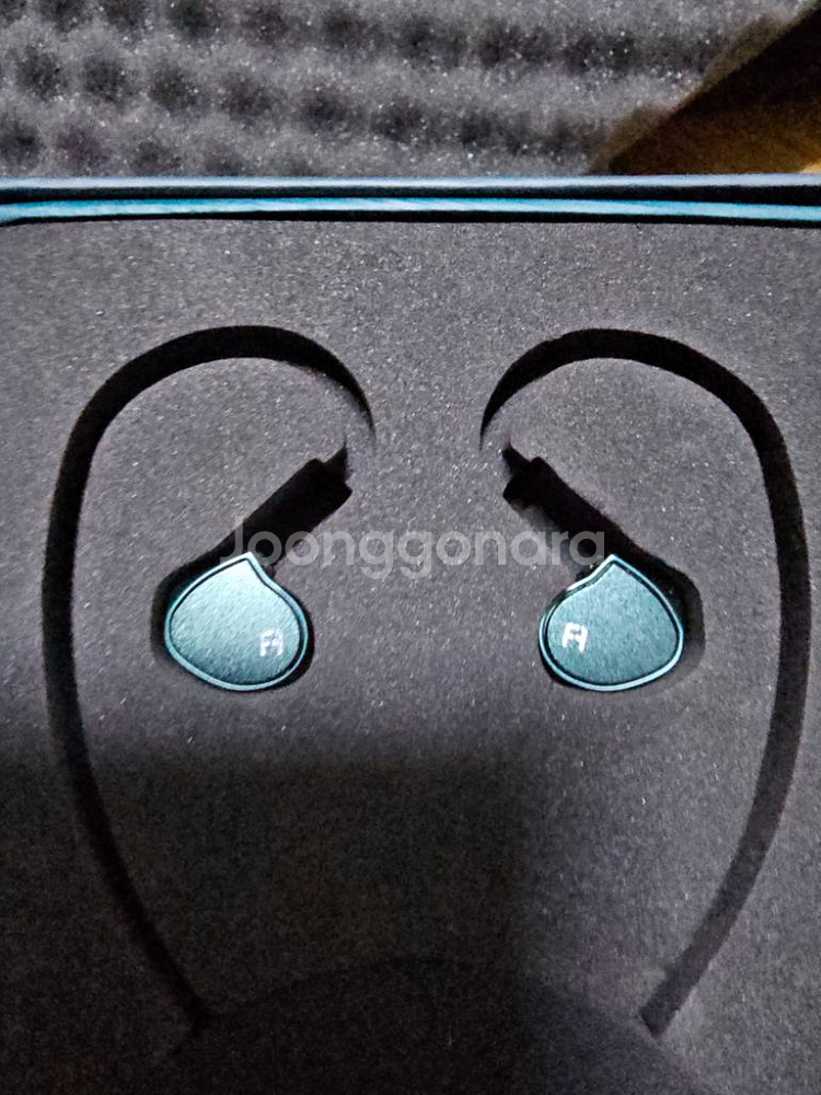 faudio spring--2