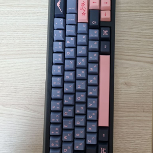 zoom65 ee v1 급처