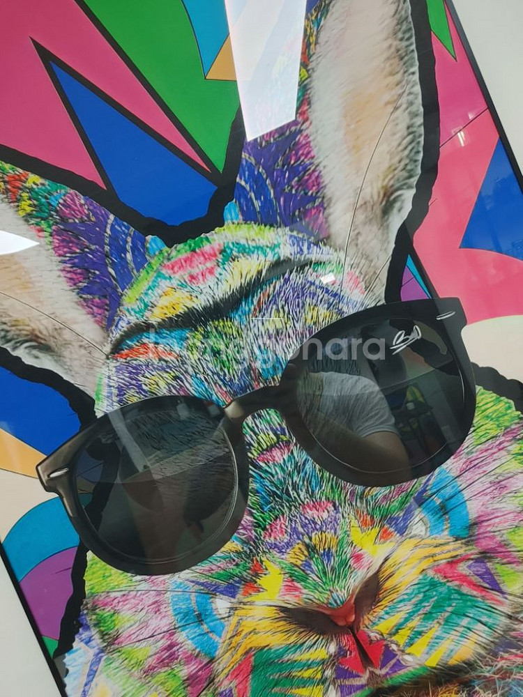 토끼 반려동물액자 반려동물그림 대형 팝아트 그림 액자--4