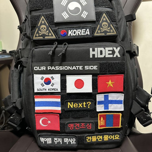 hdex 백팩 팝니다