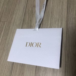 디올 Dior 쇼핑백