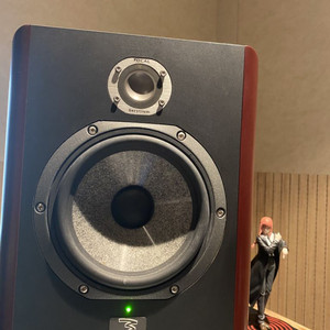 Focal solo 6be 포칼 솔로 식스비