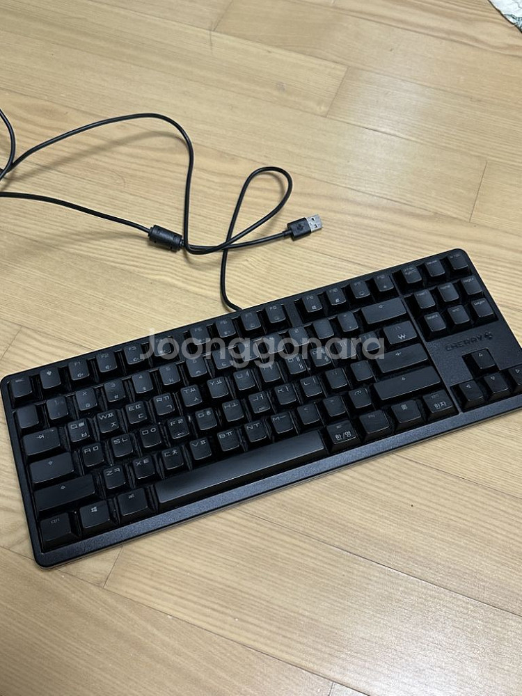 체리키보드 rgb 청축--0