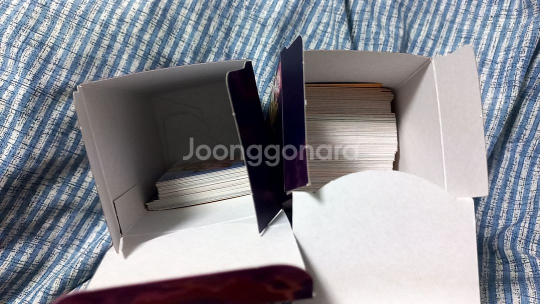 드래곤 빌리지 컬렉션 카드--0