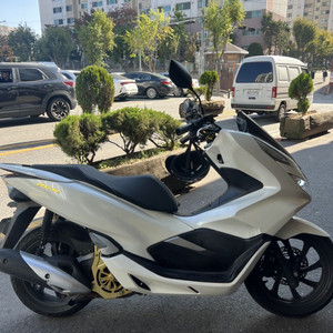 pcx 19년식