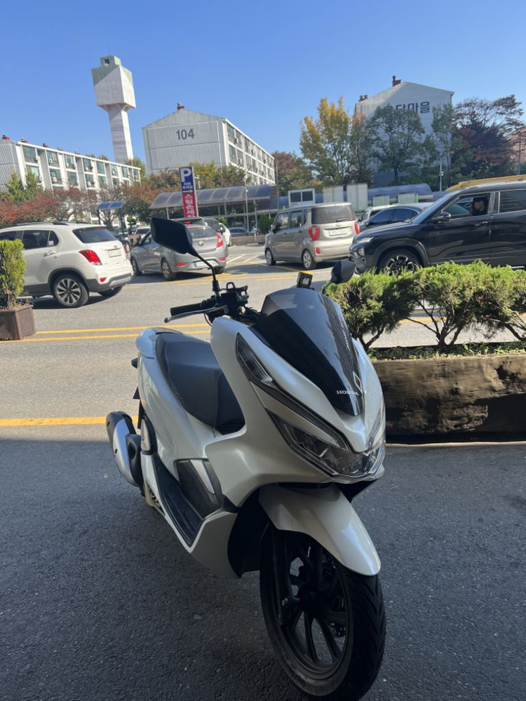 pcx 19년식--1
