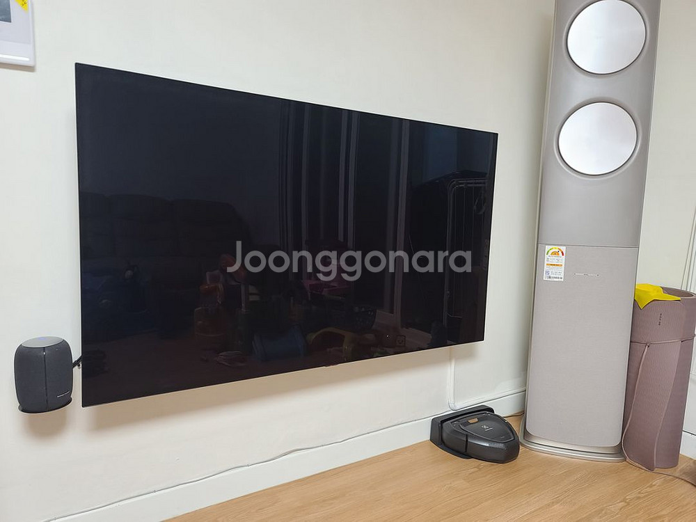 [이사정리]LG전자 ThinQ 올레드 65인치 스마트T--0