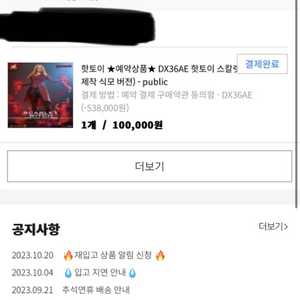 핫토이 DX 스칼렛위치 양도