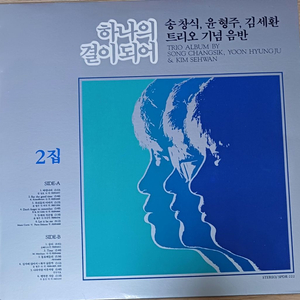 하나의결이되어 2집 LP MINT