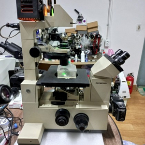 현미경 OLYMPUS IMT2 위상차현미경 대여렌탈