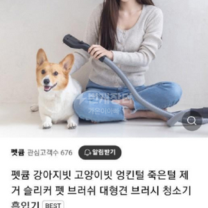 펫큠 애견청소기브러쉬