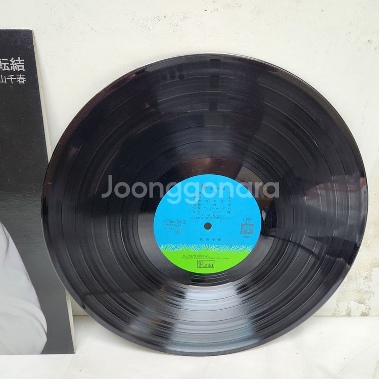 마츠야마 치하루 lp--2