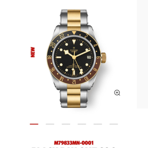 튜더 블랙베이 S&G gmt 콤비 41mm(풀구성품)