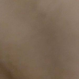 참치캔