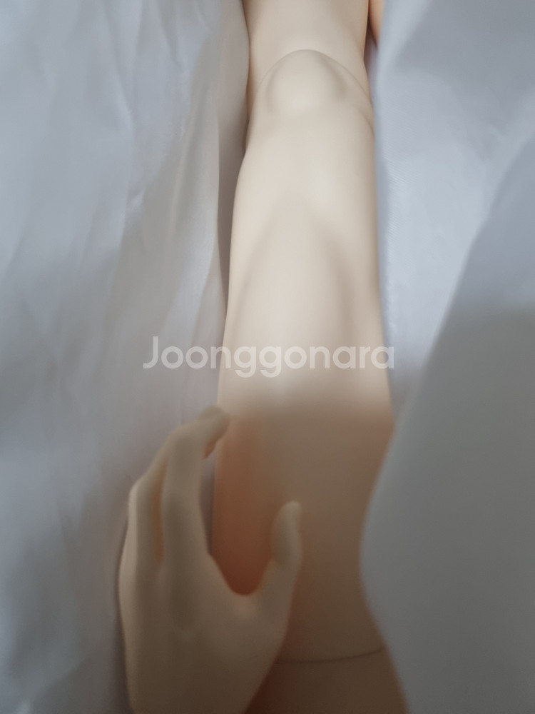 루츠 시니어델프 65바디 머슬바디 노멀--2