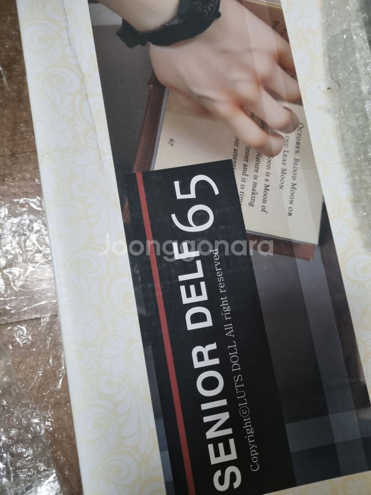 루츠 시니어델프 65바디 머슬바디 노멀--4