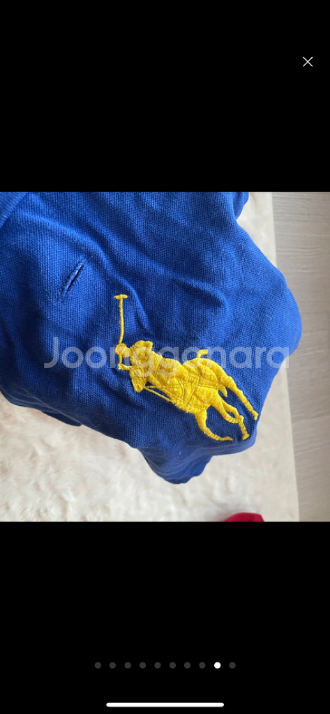 폴로 강아지 옷 m 사이즈 새상품 택배비포함--1