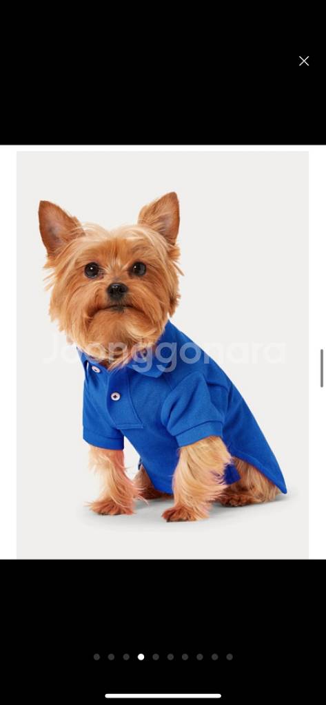폴로 강아지 옷 m 사이즈 새상품 택배비포함--6