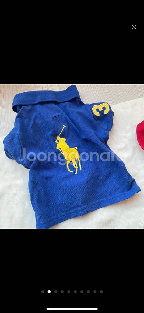 폴로 강아지 옷 m 사이즈 새상품 택배비포함--8