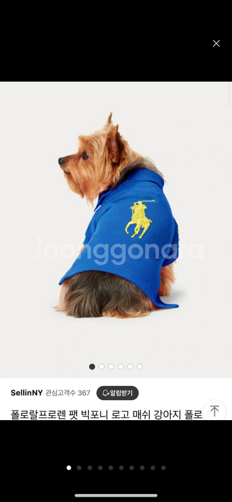 폴로 강아지 옷 m 사이즈 새상품 택배비포함--9