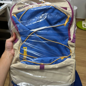 파타고니아 백팩 팝니다Refugio Daypack30L