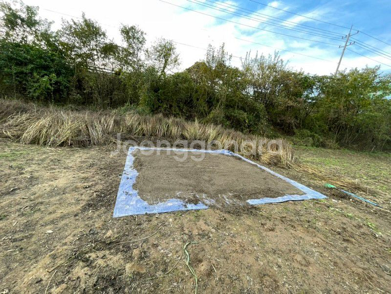 국산들깨 한말(약5키로) 75000원 ,택포--1