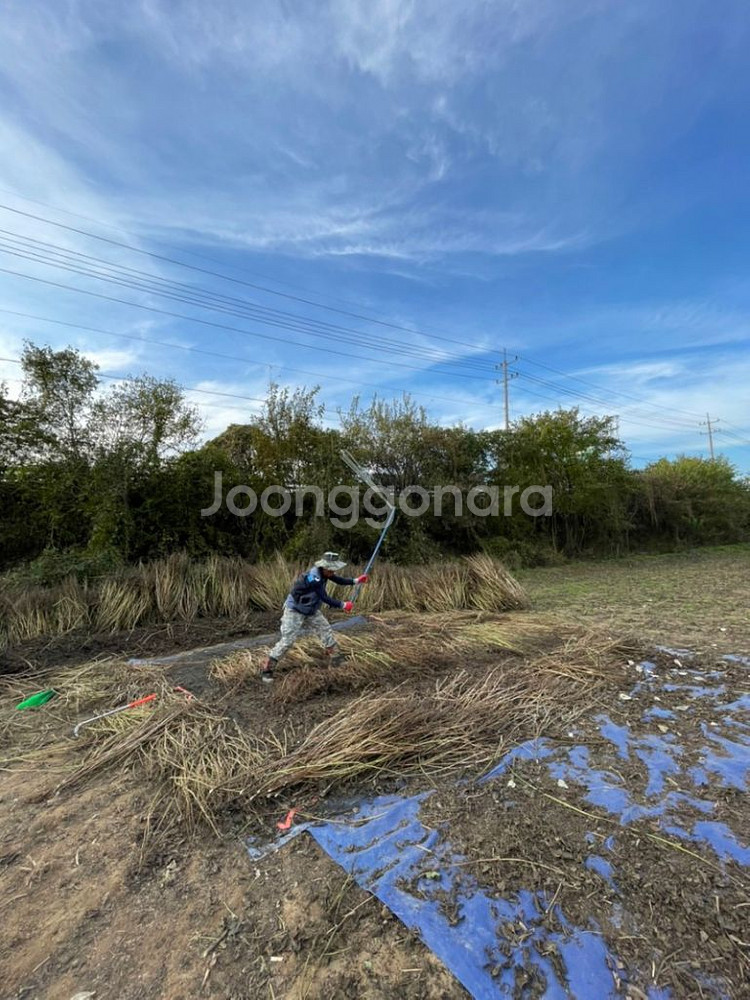 국산들깨 한말(약5키로) 75000원 ,택포--2