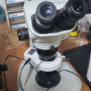 올림푸스 실체현미경 SZ61TR