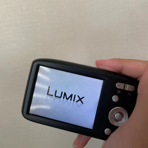 카시오 루믹스 casio lumix dmx s2 디카