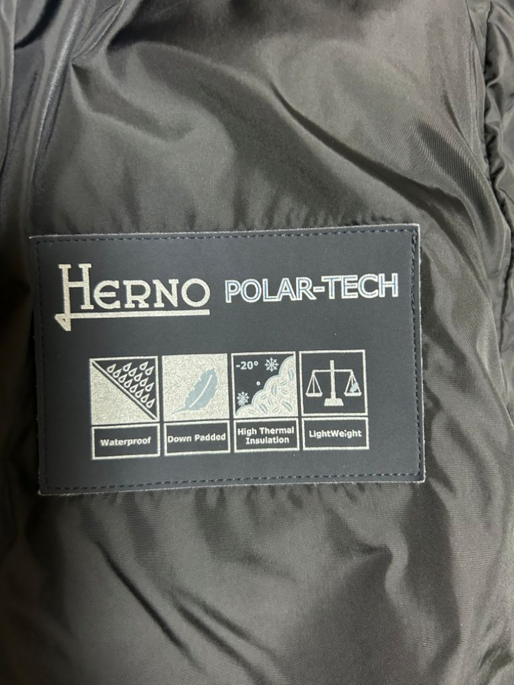 에르노 구스 패딩--1