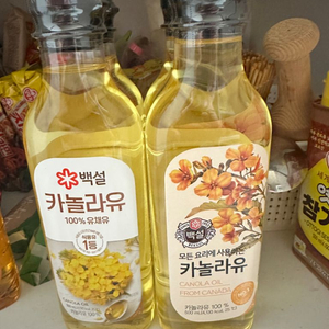 백설 카놀라유