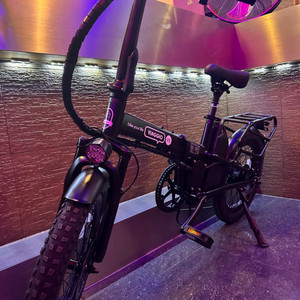 전기자전거 비아지오v5