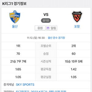 울산현대 vs 포항스틸러스 스탠딩석 2연석 정가양도