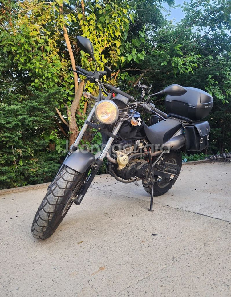 216년식 RT트로이125D--1