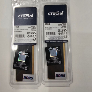 마이크론 크루셜 ddr5 5600 32G(16Gx2)