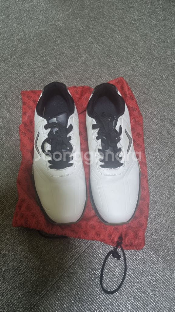 골프화(캘러웨이,푸마) 255mm--1