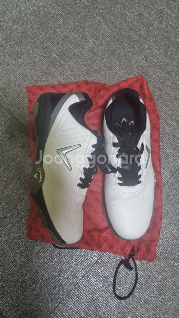 골프화(캘러웨이,푸마) 255mm--2