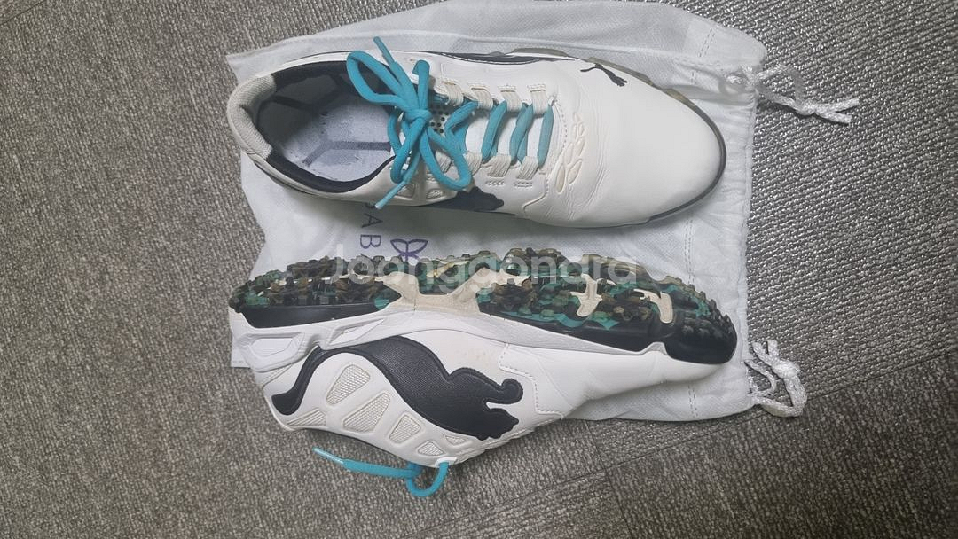 골프화(캘러웨이,푸마) 255mm--6