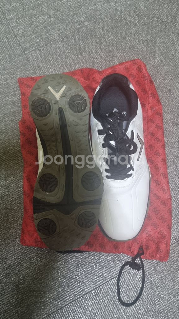 골프화(캘러웨이,푸마) 255mm--4