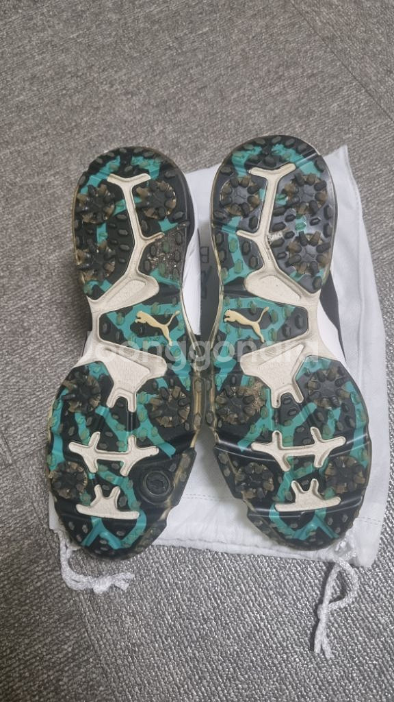 골프화(캘러웨이,푸마) 255mm--8